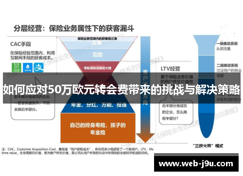 如何应对50万欧元转会费带来的挑战与解决策略